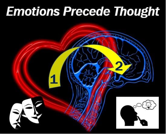 Emotions precede thought - 398398938