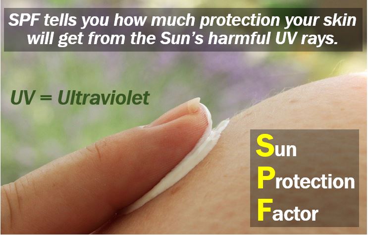 Everything You Need to Know About SPF - Sun Protection Factor