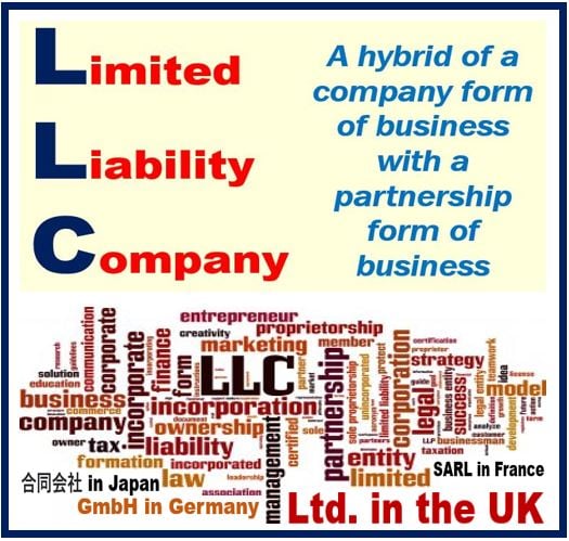 Limited Liability Company or LLC