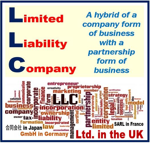 Limited Liability Company or LLC