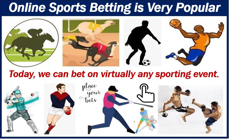 Online sports betting - Online Gambling for Fun and Big Wins