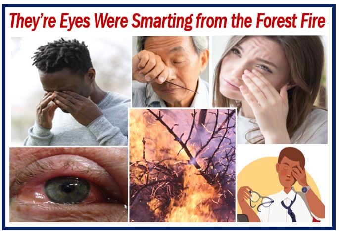 Their eyes were smarting from the forest fire