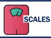 A Beginner’s Guide to the Types of Weighing Scales