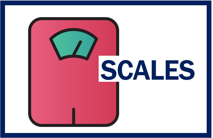 Thumbnail - Types of weighing scales - teu4999