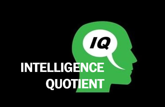 Intelligenzquotient (IQ) • Definition