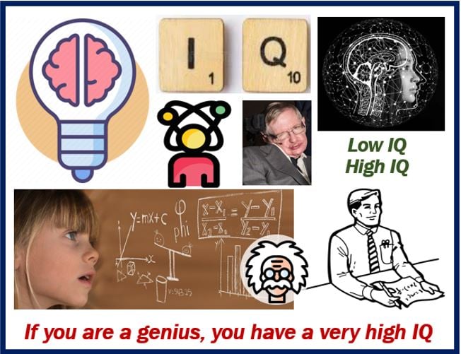 Intelligenzquotient (IQ) • Definition