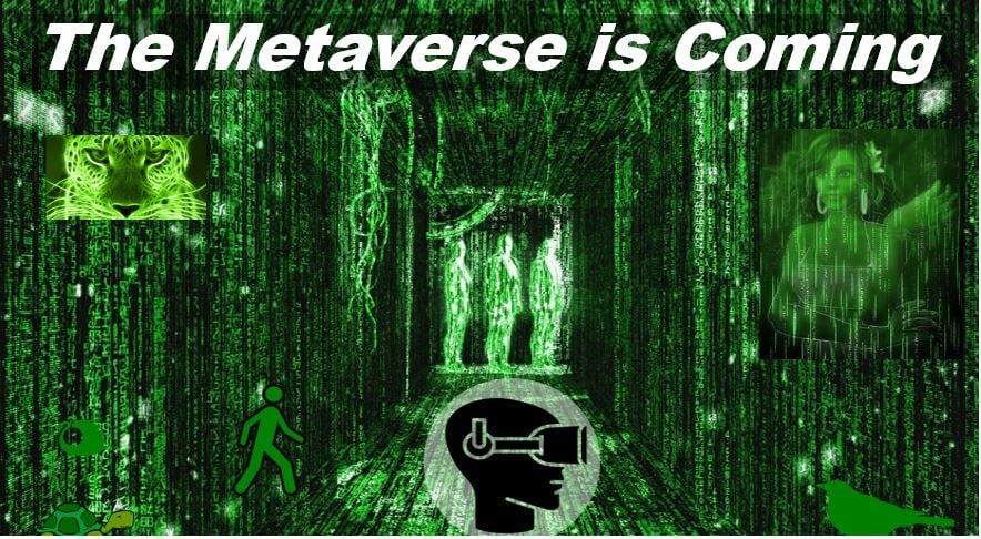 What is the Metaverse - image for article