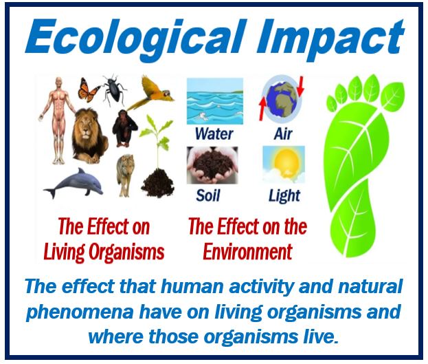 what-is-ecological-impact-definition-and-examples-market-business-news