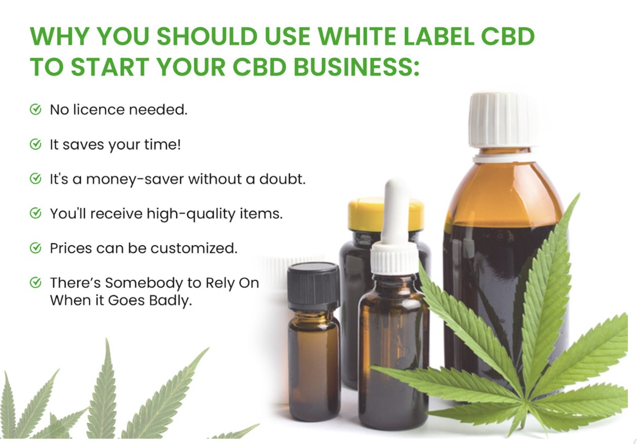 Why you should white label of CBD to start your business