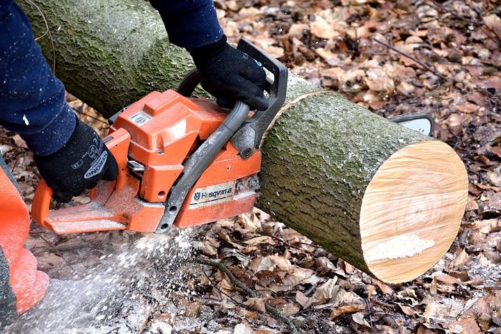 how-to-start-a-tree-cutting-business-market-business-news