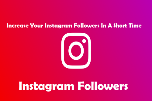 Instagram Followers