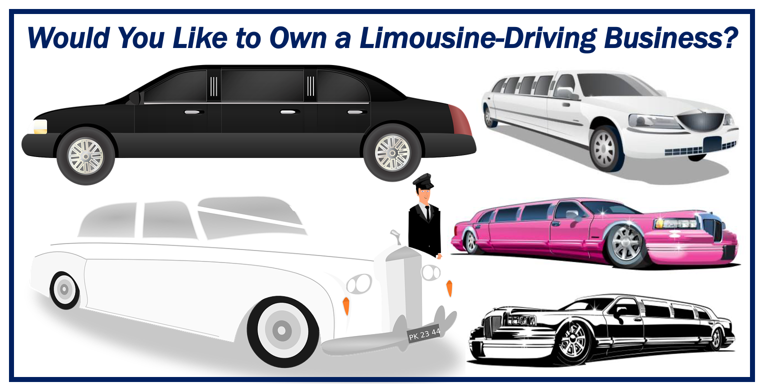 Limousine-Driving Business