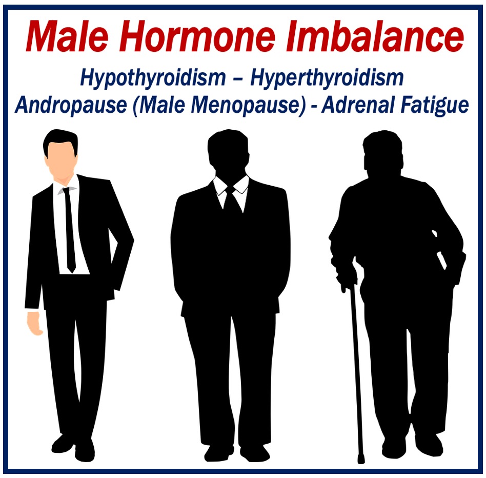 Male hormone imbalance - image for article