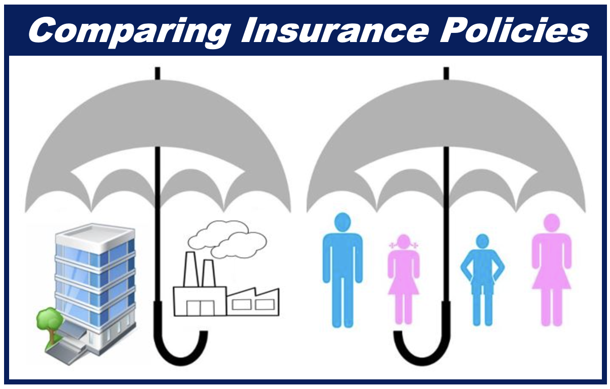 Comparing insurance - different policies - 444