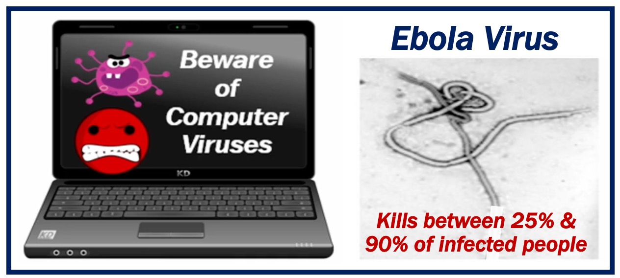 WHAT IS A VIRUS - IMAGE FOR ARTICLE