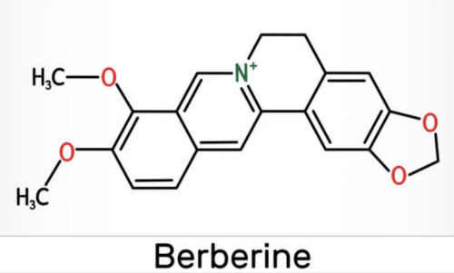 Berberine Supplement2 500x301 