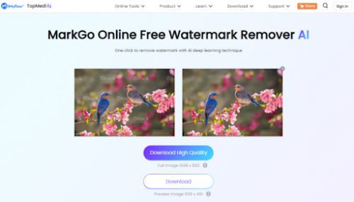 3 Best AI Online Tools to Remove Image Background