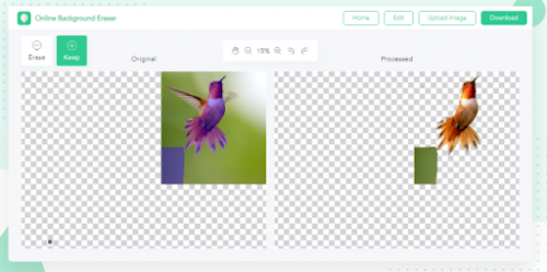 3 Best AI Online Tools To Remove Image Background