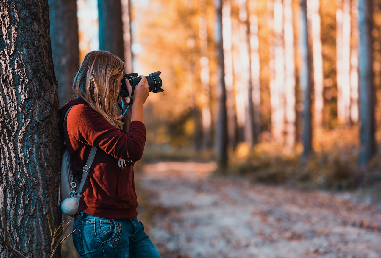 Фотобанк бесплатных фотографий