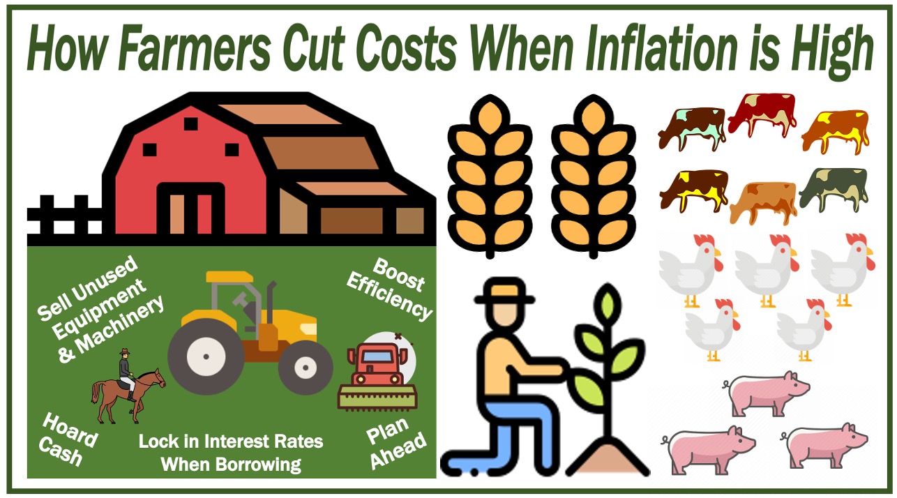 Farmers cutting costs when inflation is high