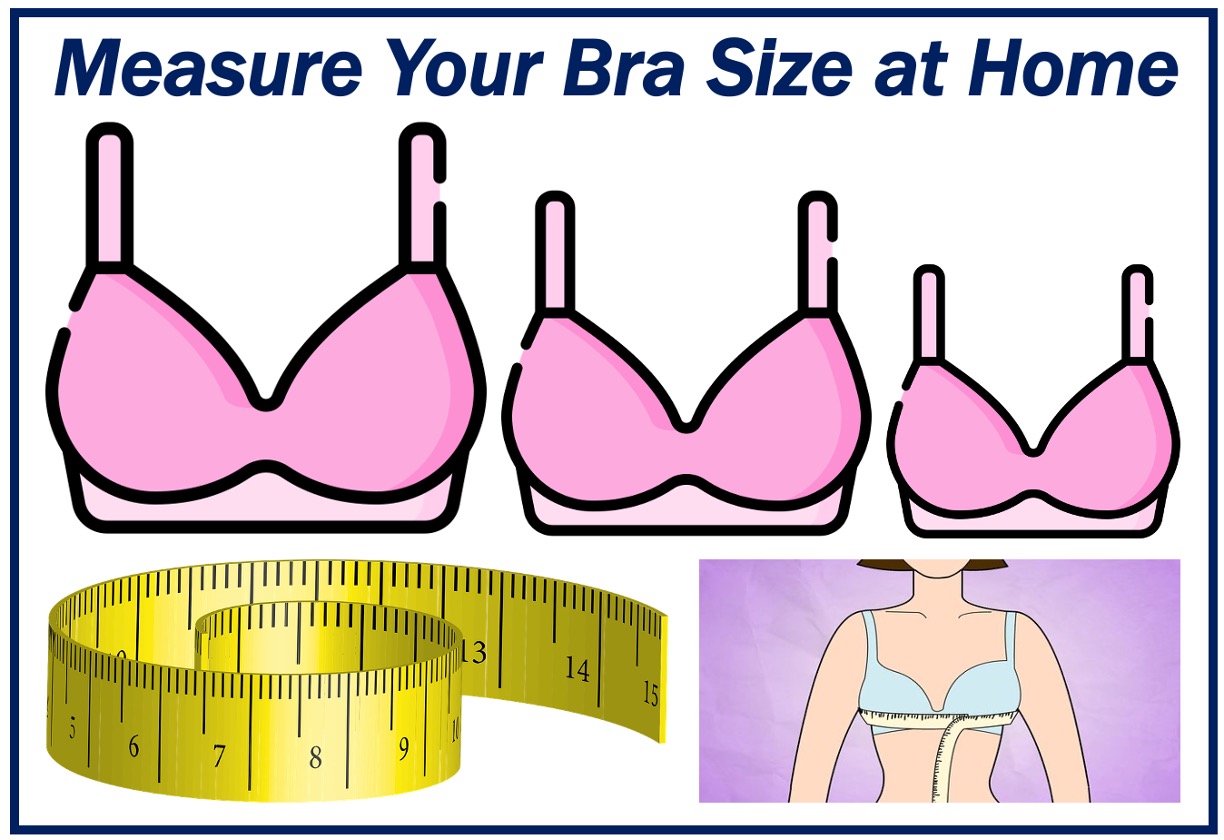 how-to-measure-your-bra-size-at-home-market-business-news