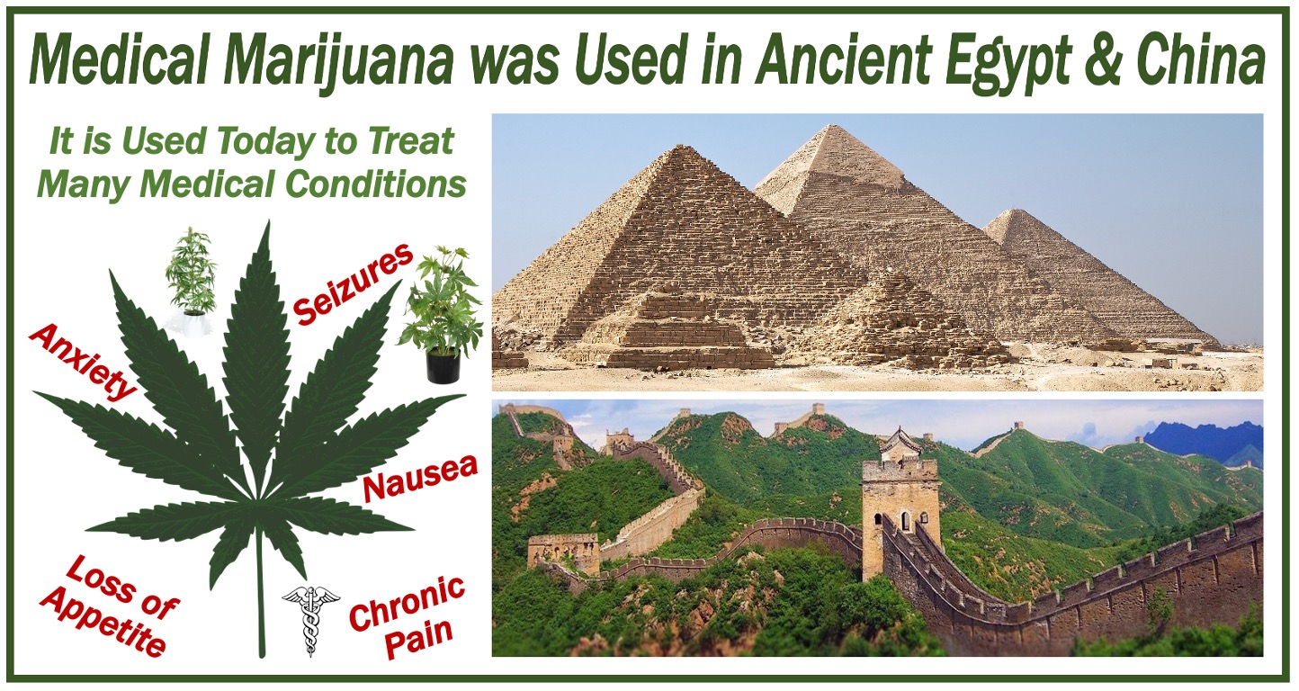 Medical Facts About Marijuana
