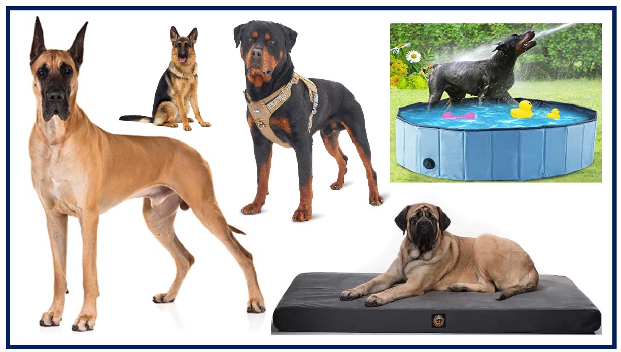 Must have products for large dogs