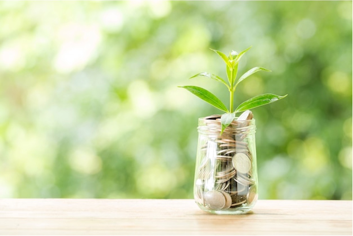 Jar with coins and a plant - fixed deposit article