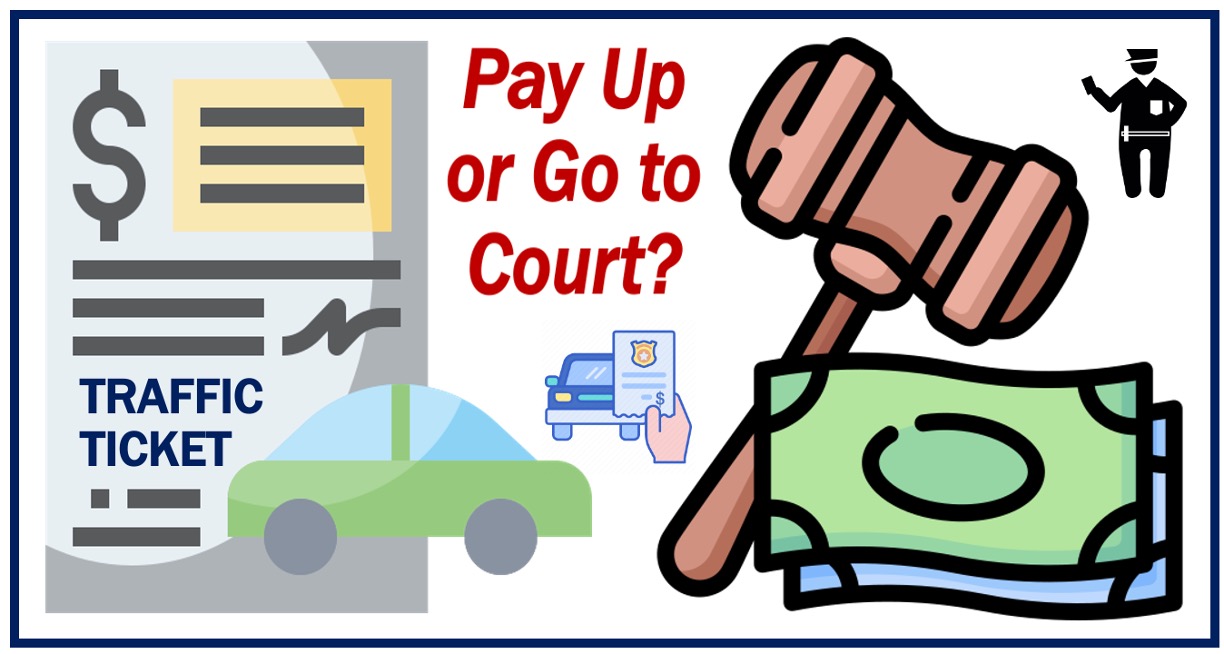 Traffic Tickets: Should You Go to Court or Pay Up?