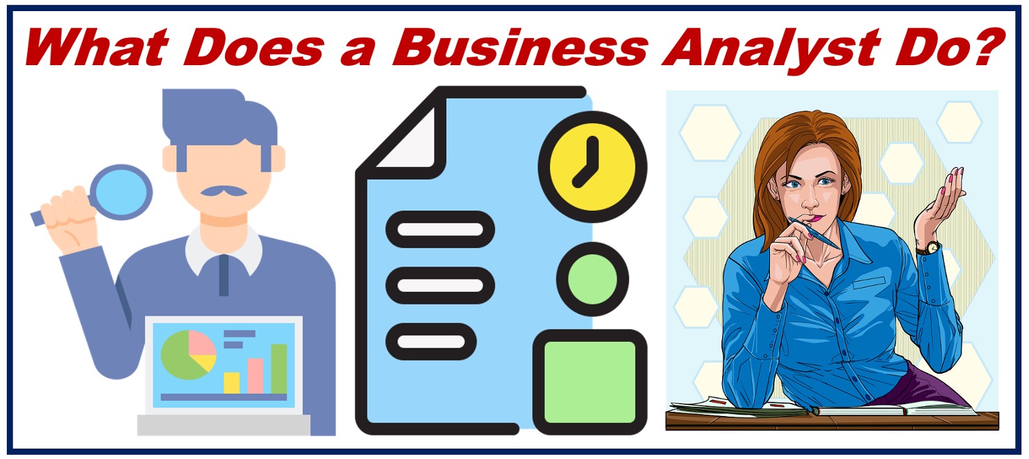 What does a business analyst do