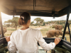 Luxury wildlife safari destinations for 2023