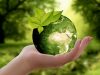 How to Make Your Business More Eco-Friendly