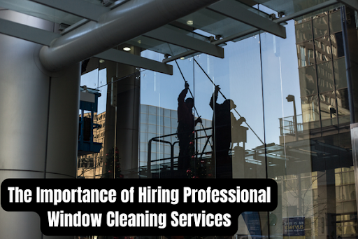 Smith Brothers Window Cleaning Llc House Washing Service The Woodlands Tx