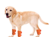 Wrist Support For Dogs For Sprained Wrist