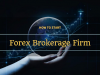 5 Steps To Start Your Own Forex Brokerage Firm 