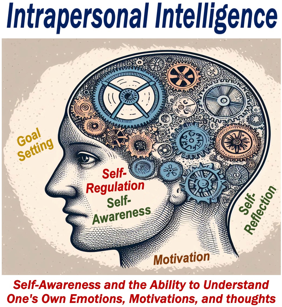 Drawing of a person's head and cogs working inside - depicting intrapersonal intelligence