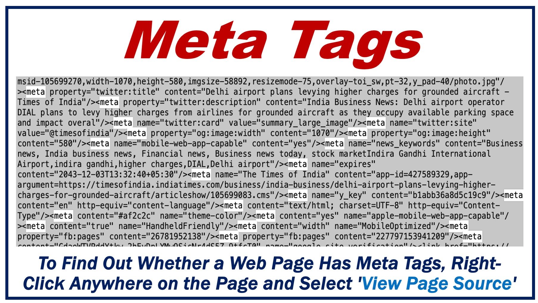 Image showing meta tags from a page source of a web page