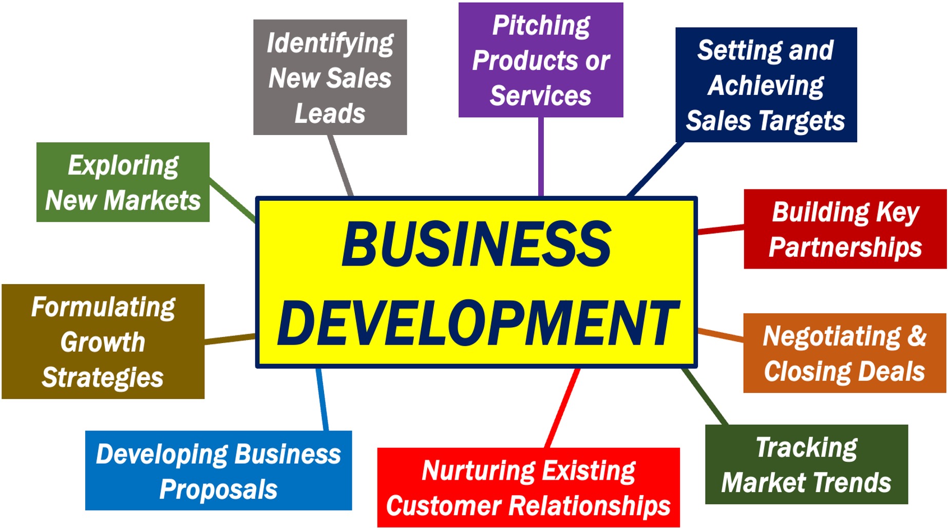 What Is Business Development 