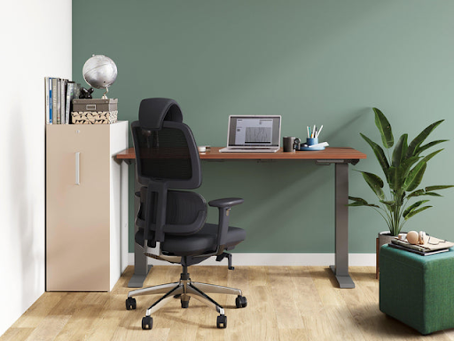 Best Office Chairs for Lower Back Pain
