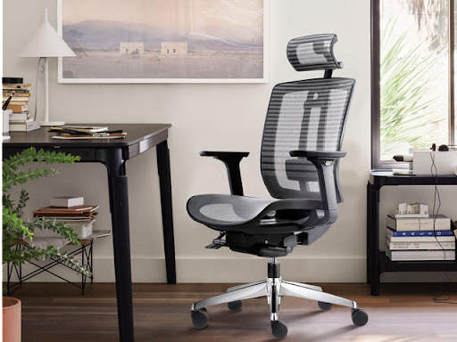 Computer Chairs for Back Pain