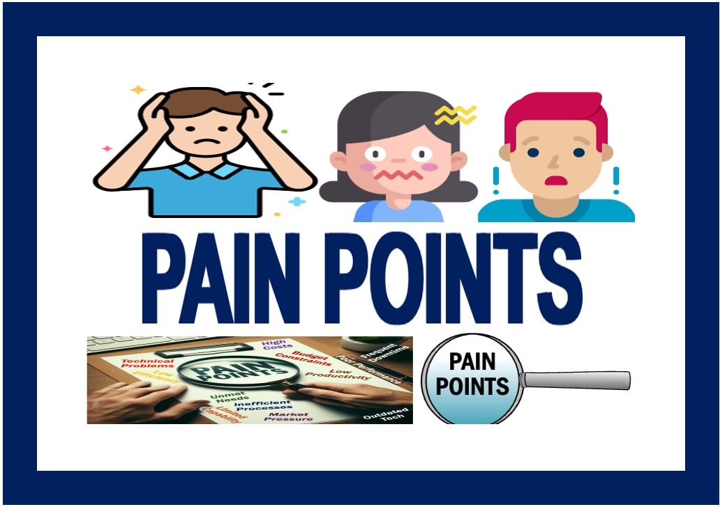 What are Pain Points?