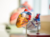 How Are Cardiovascular Medical Devices Revolutionizing Heart Care?