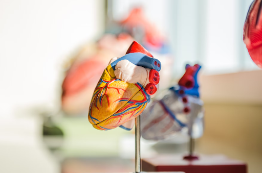 How Are Cardiovascular Medical Devices Revolutionizing Heart Care?