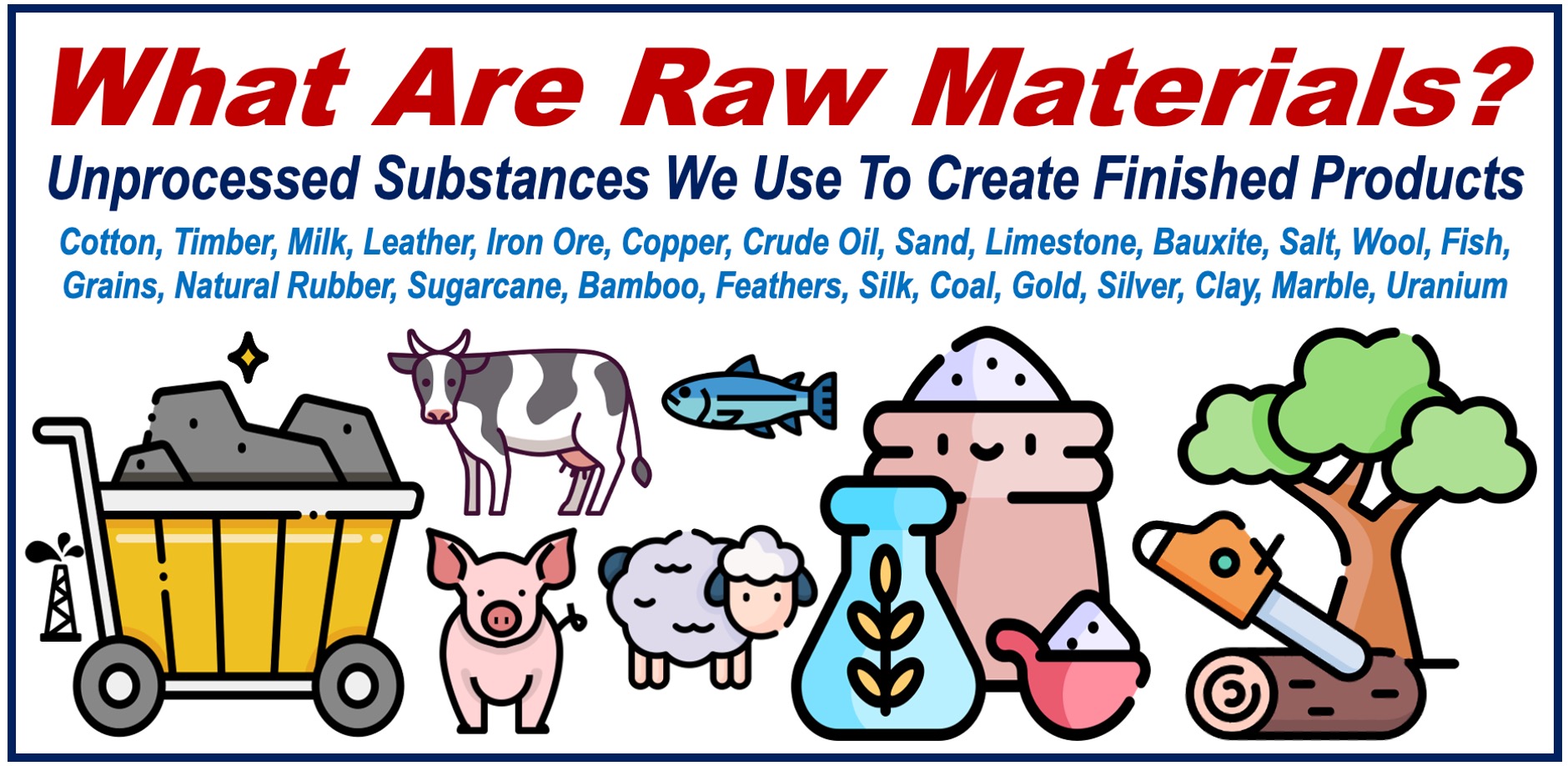 What are Raw Materials?