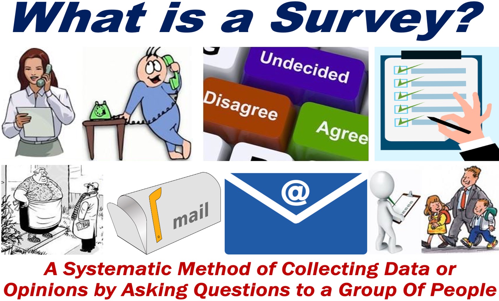 Illustrations of various types of surveys plus a written definition of the term.