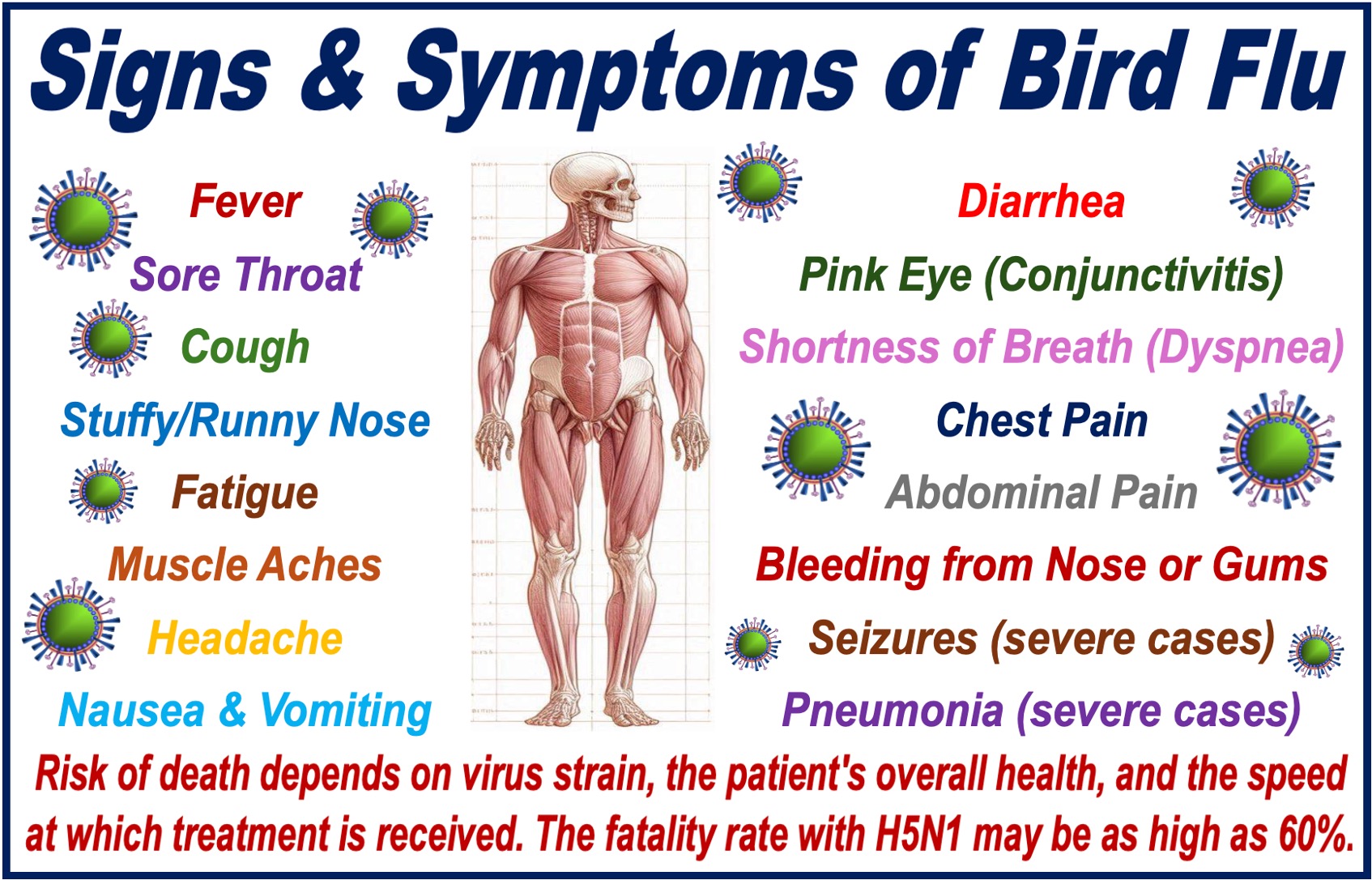 List of symptoms of bird flu infection for a human.