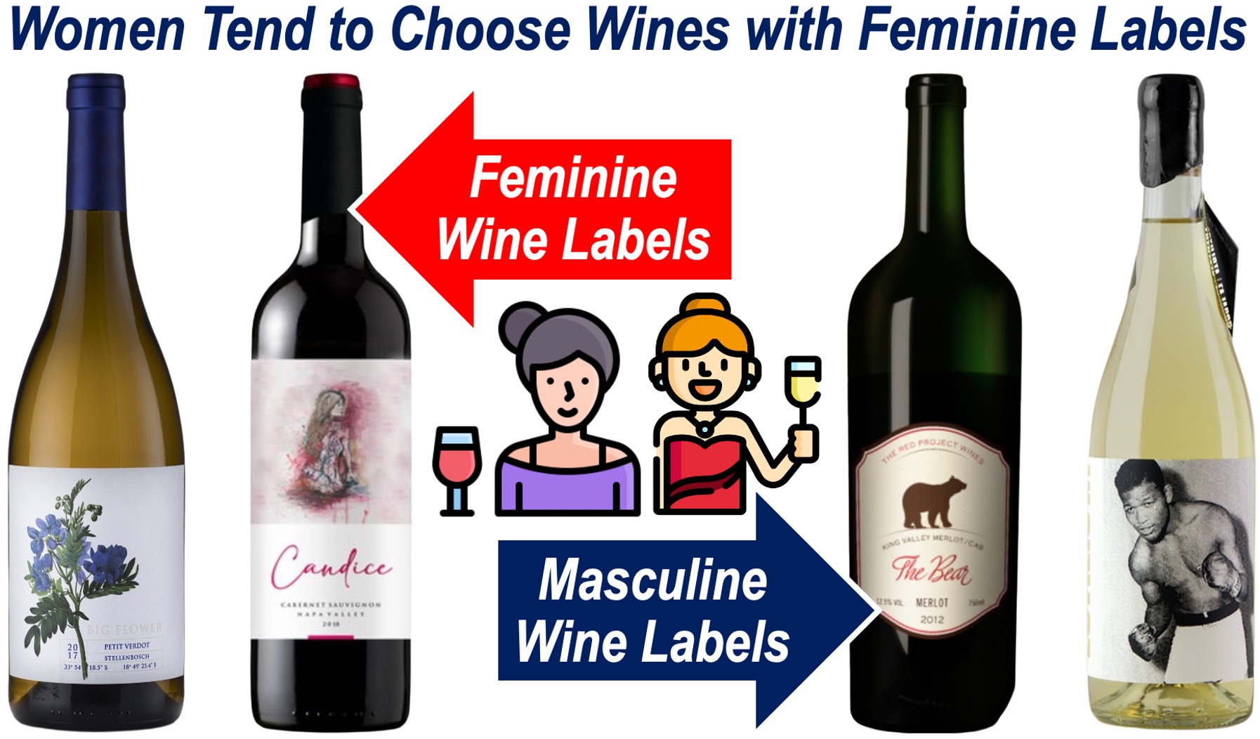 Masculine and Feminine Wine Labels, plus women drinking wine.