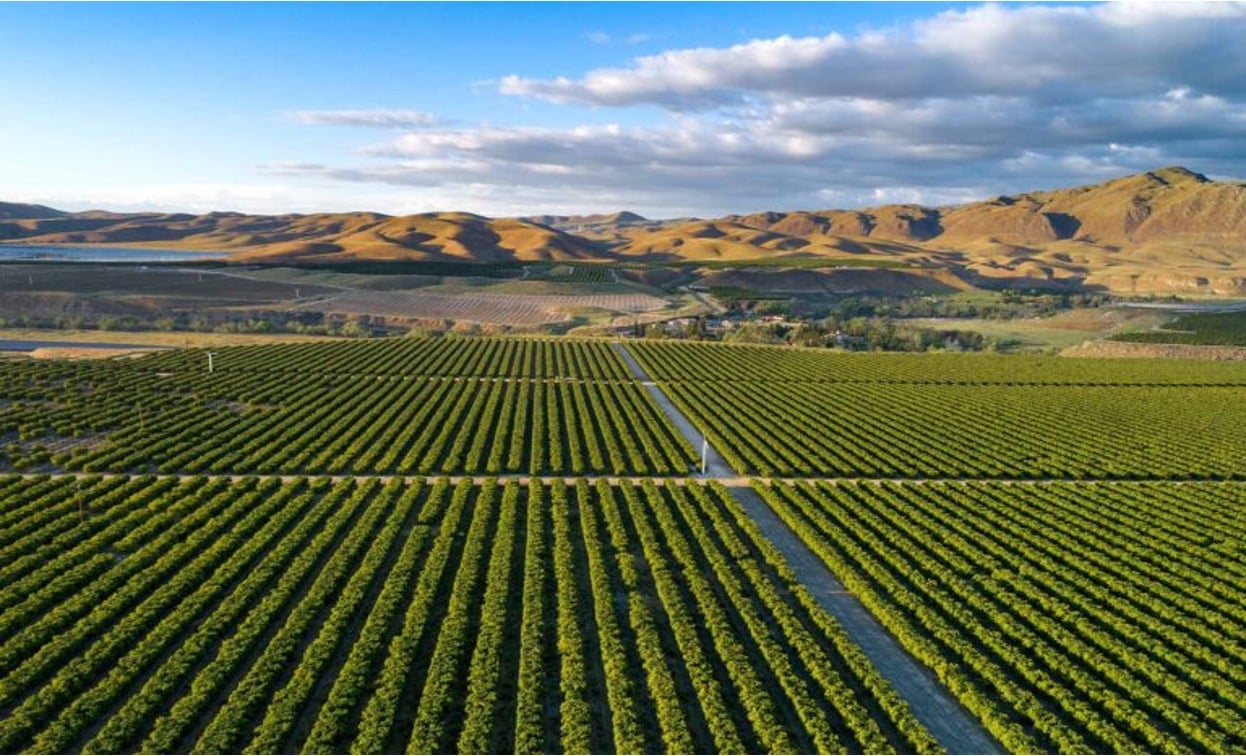 San Joaquin Valley in California.