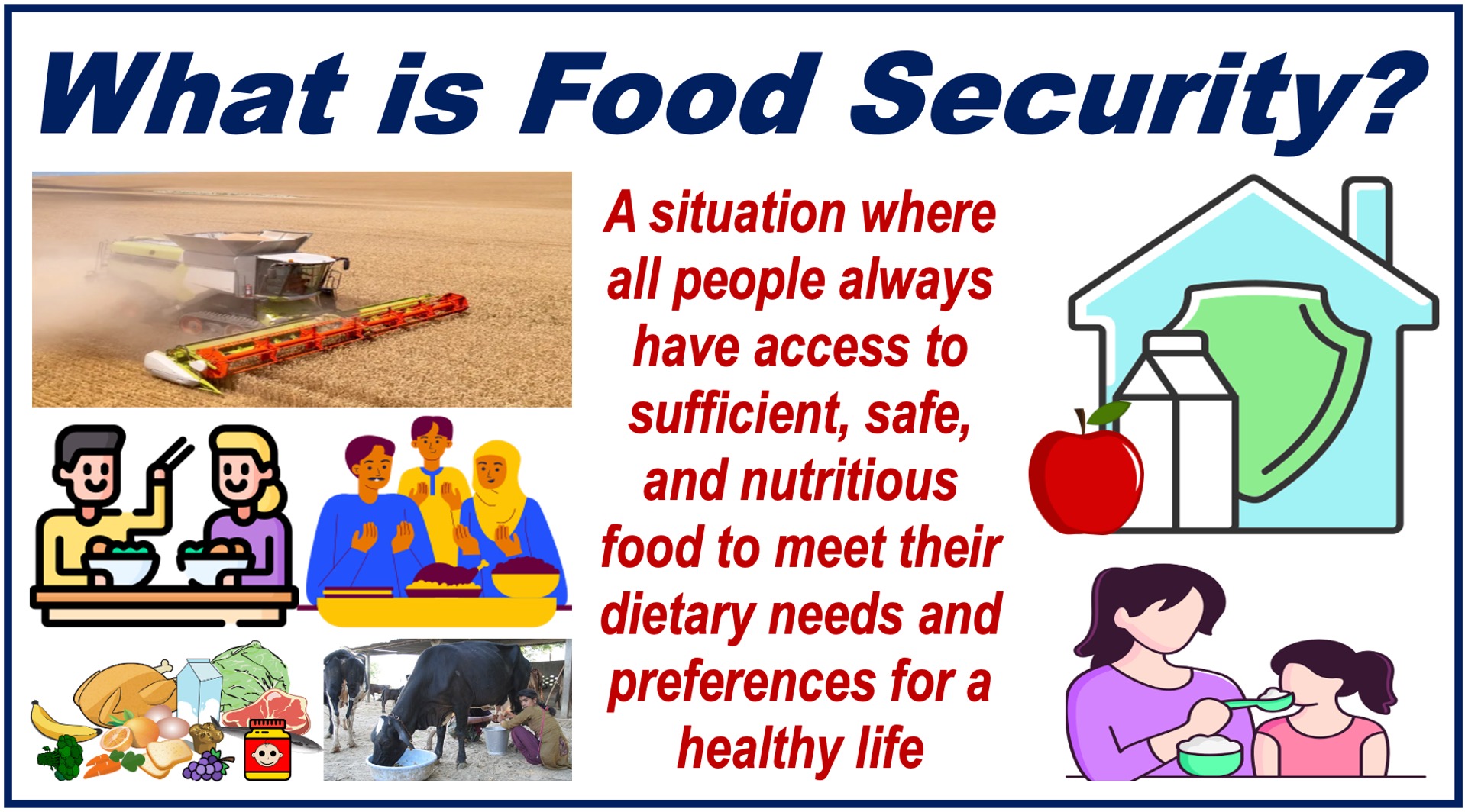 Many images depicting food security and a written meaning of it.