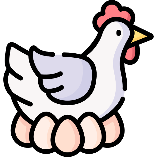 Hen and eggs
